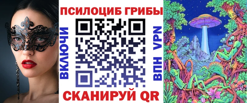 Галлюциногенные грибы мухоморы  где купить наркотик  Верхотурье 